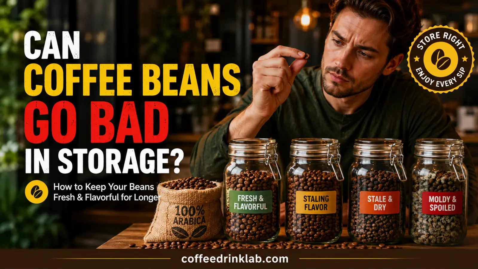 Can Coffee Beans Go Bad in Storage?